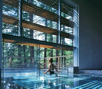 Indoor/Outdoor whirlpool